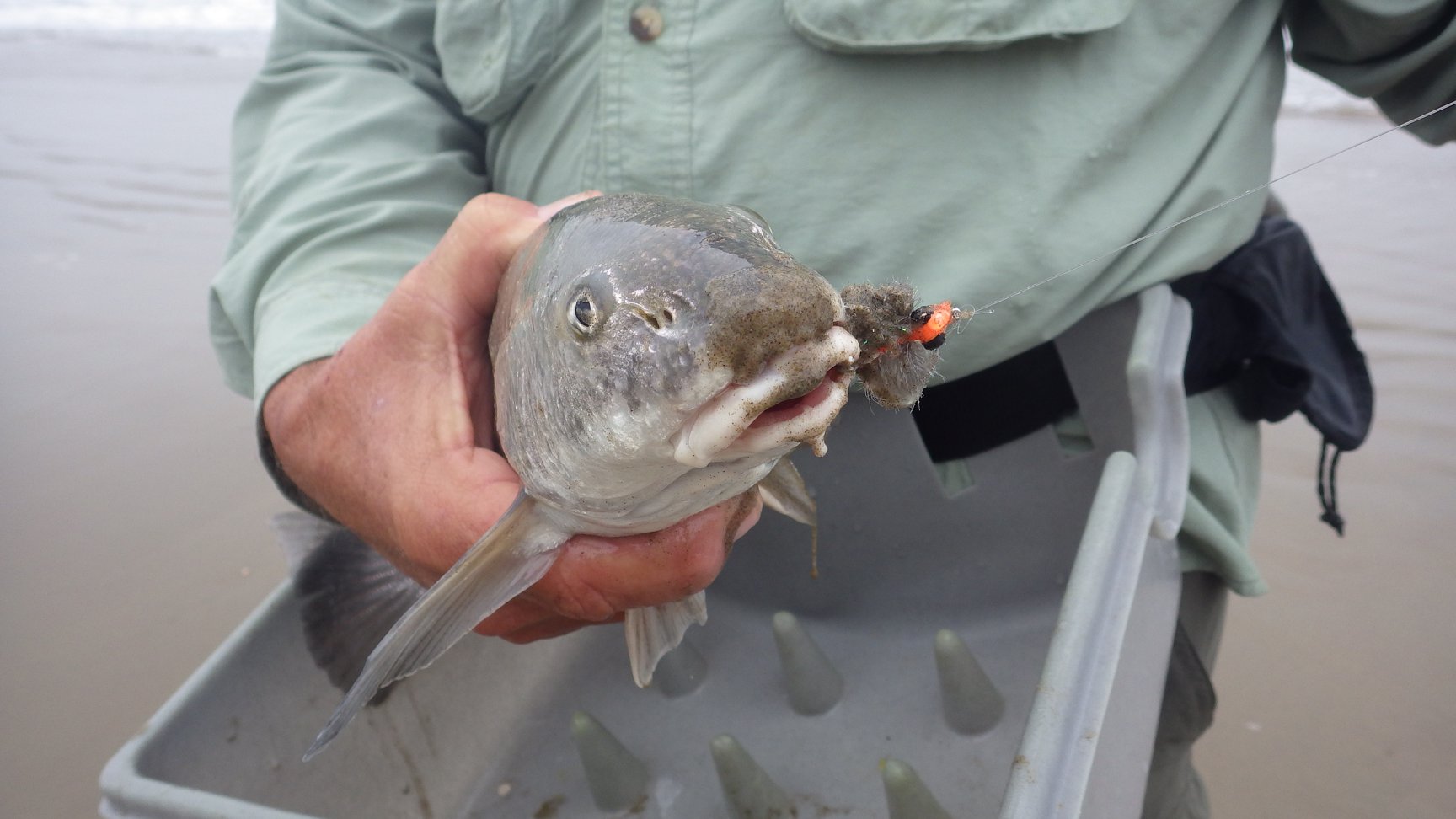 Fly Fish The Surf 7-22-2019 4